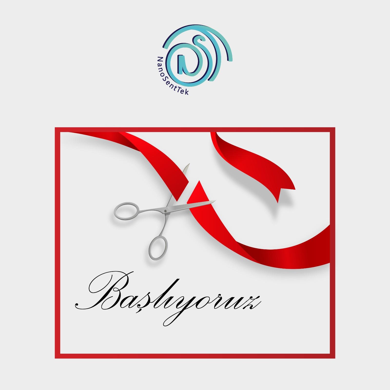 NanoSentTek Kuruluş